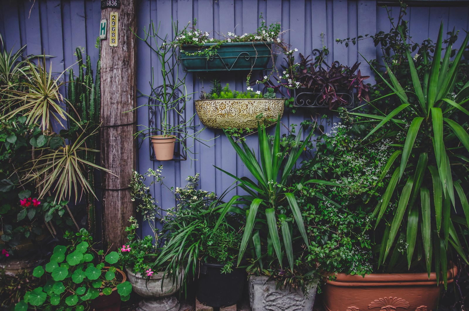 Vertical Gardening